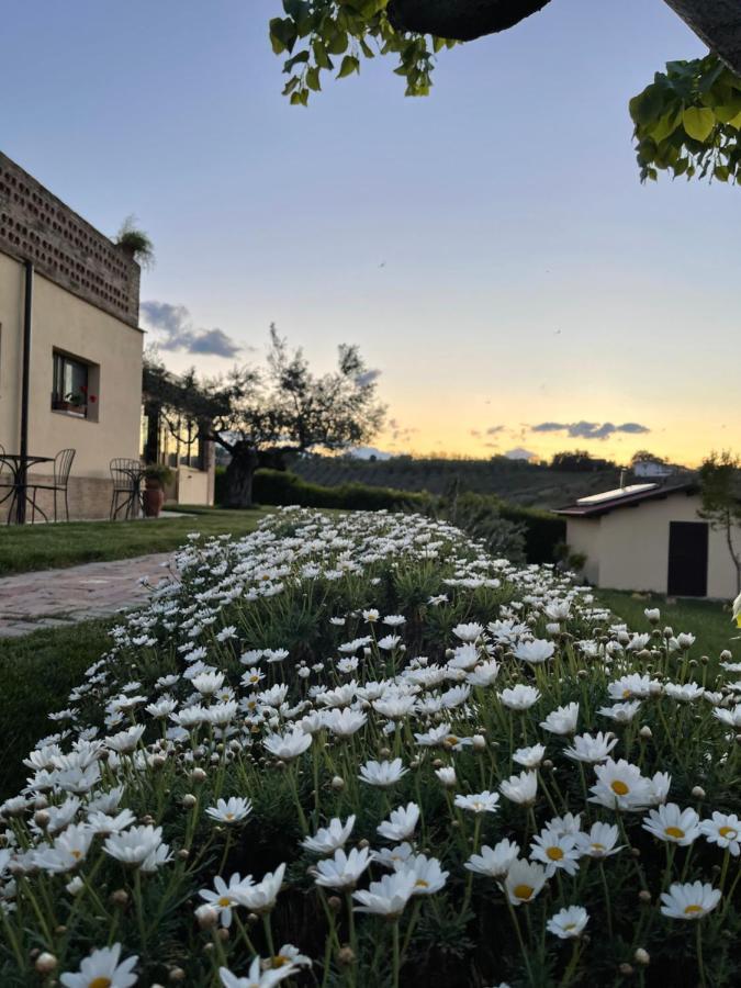 Agriturismo La Rustica Villa Cerratina Buitenkant foto